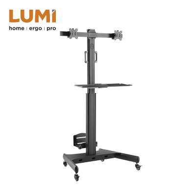 Ergonomic Height Adjustable Sit Stand PC Mobile Computer Workstation