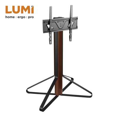 Contemporary Artistic Studio TV Floor Stand